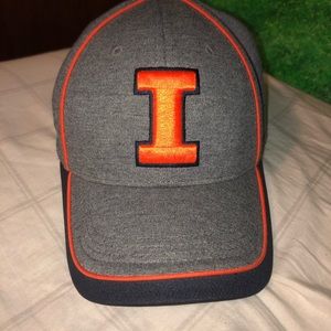 University of Illinois Fighting Illini baseball